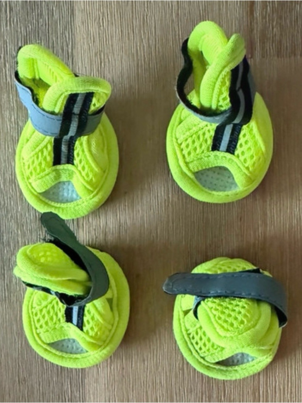 Dog Neon Yellow Shoes